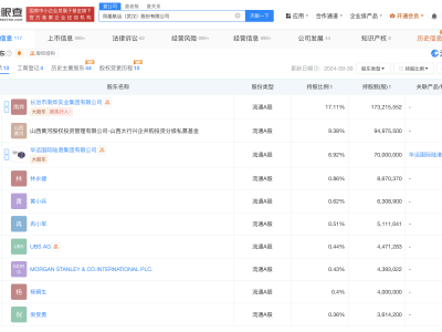 王岩科任凤凰航运董事长 凤凰航运换帅完成工商变更