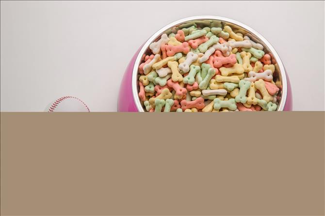 开源证券：2024Q3生猪养殖业绩修复 宠物高景气延续