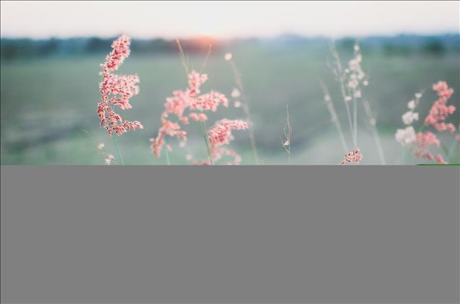 方正证券:军工板块库存已逐渐见底 后续节奏上仍需关注订单下达