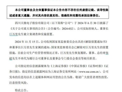 天微电子董事长巨万里解除留置,恢复正常履职