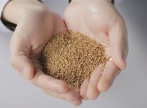 中办、国办印发《粮食节约和反食品浪费行动方案》